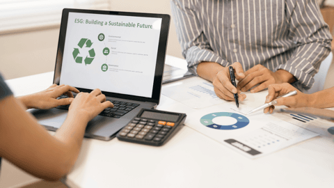 Sustainable Growth